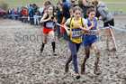 Girls under-13s 2018 British Inter Counties Cross Country Champs., Prestwold Hall, Loughborough. Photo: David T. Hewitson/Sports for All Pics